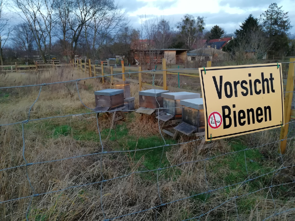 Bienen und Imker Am Pfingstberg